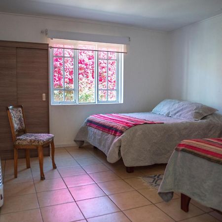 Hostal Casa 95 Vicuña Eksteriør bilde
